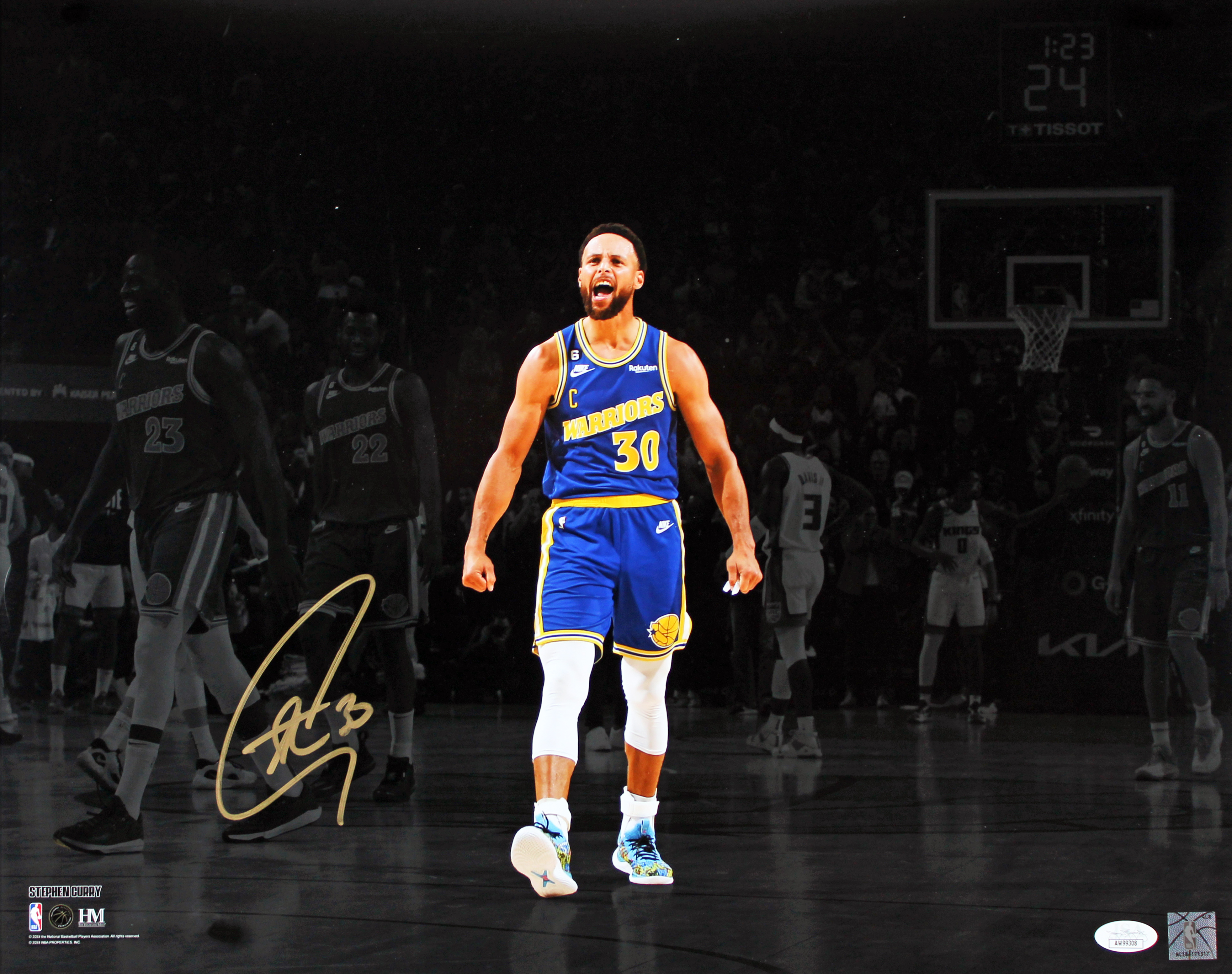 Warriors Stephen Curry Authentic Signed 16x20 Horizontal
